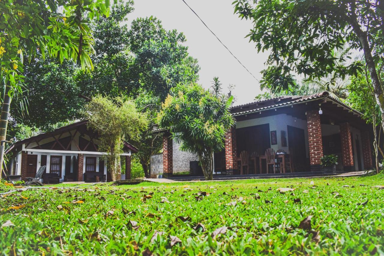 Green Cottage Anuradhapura Zewnętrze zdjęcie