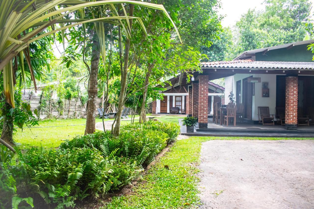 Green Cottage Anuradhapura Zewnętrze zdjęcie