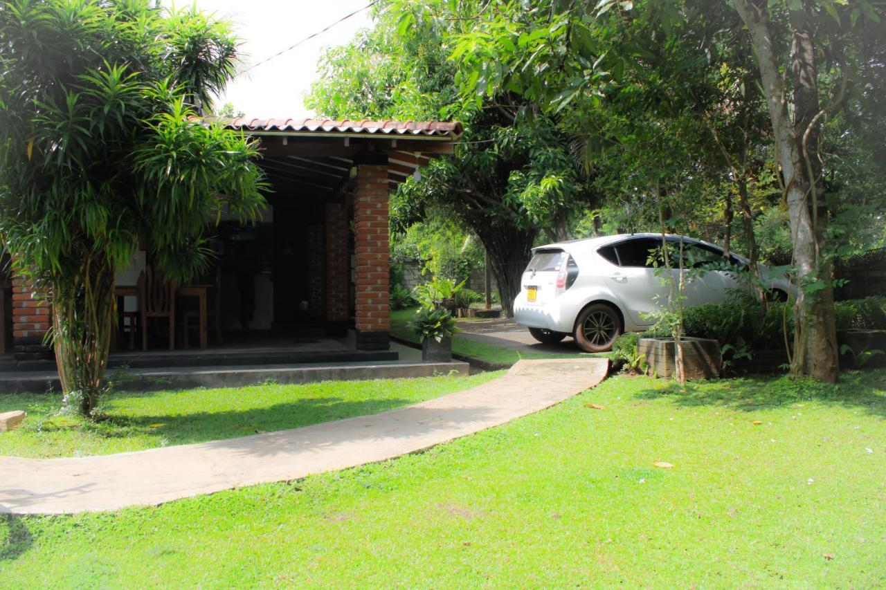 Green Cottage Anuradhapura Zewnętrze zdjęcie