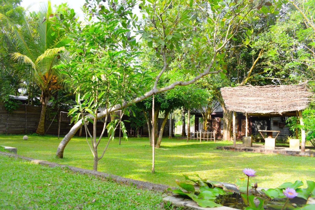 Green Cottage Anuradhapura Zewnętrze zdjęcie