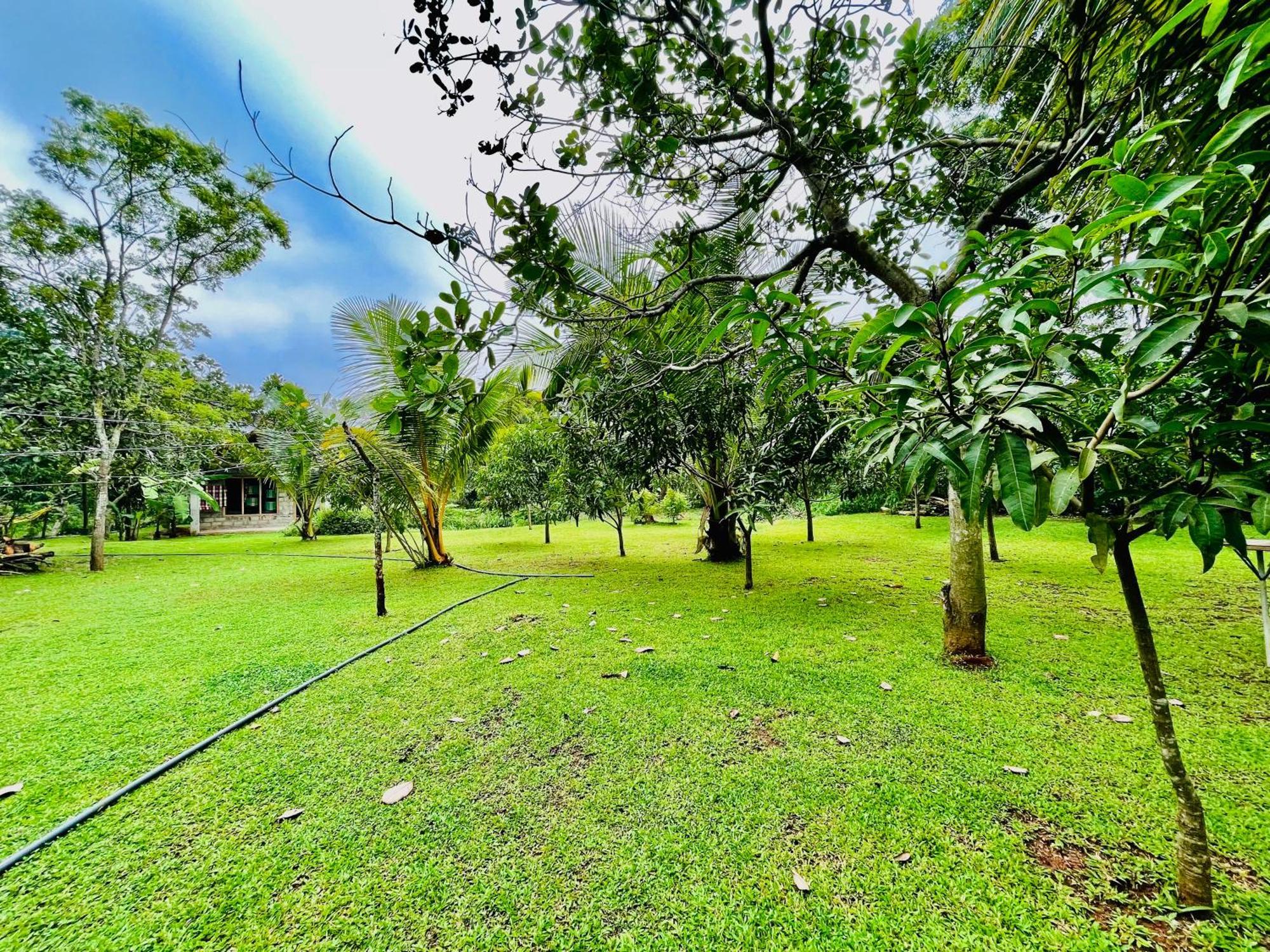 Green Cottage Anuradhapura Zewnętrze zdjęcie